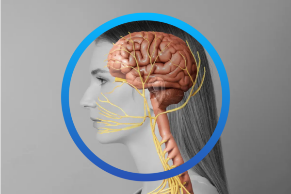 Blog Post Summary: Innovative Study Reveals the Impact of PEMF on Vagus Nerve Stimulation - Neopemf neopemf 2